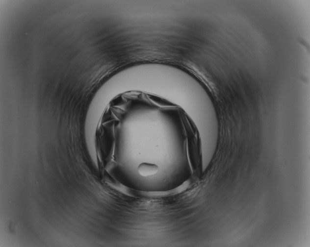 X0000091310117200708241122