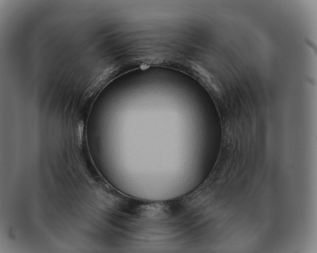 X0000091310118200708241122