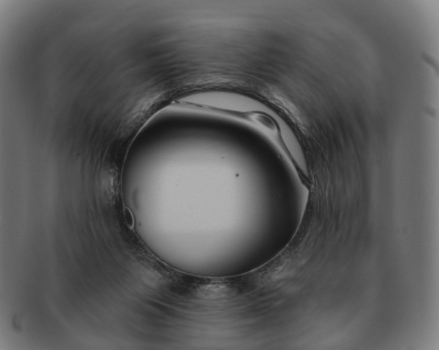 X0000091310119200708241122