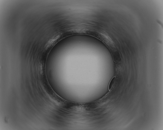 X0000091310120200708241122