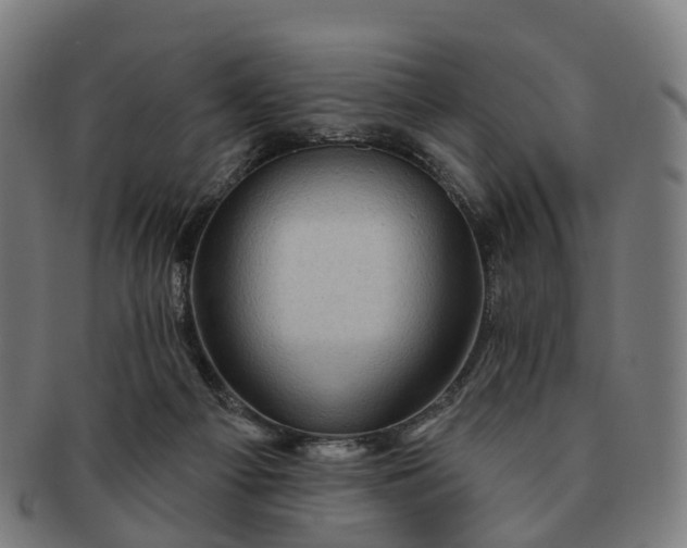 X0000091310121200708241122