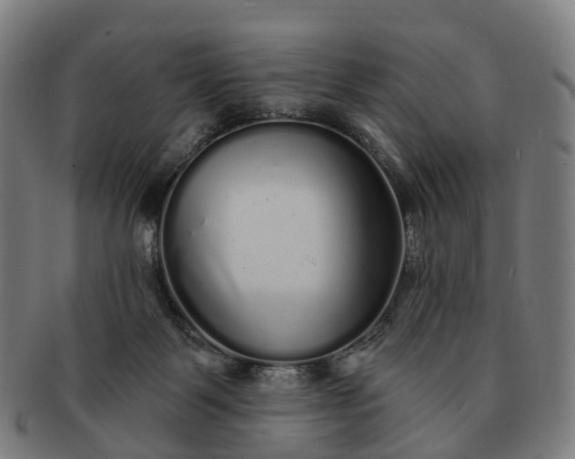 X0000091310123200708241122