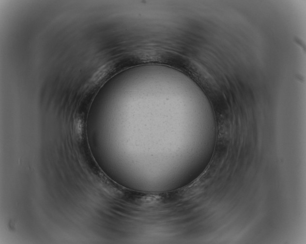 X0000091310124200708241122