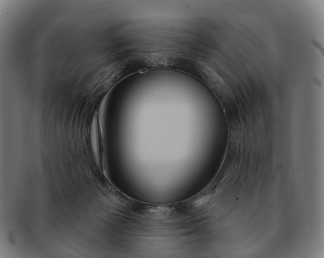 X0000091310125200708241122