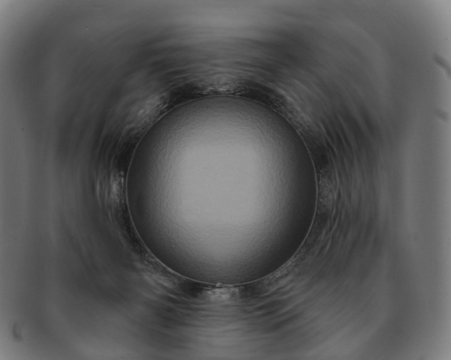 X0000091310126200708241122