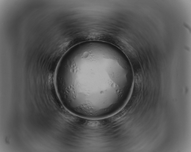 X0000091310127200708241122