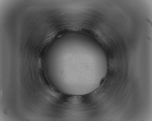 X0000091310128200708241122