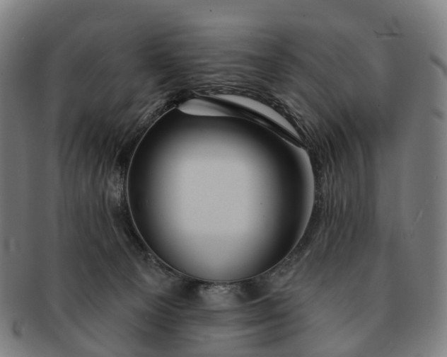 X0000091310129200708241122