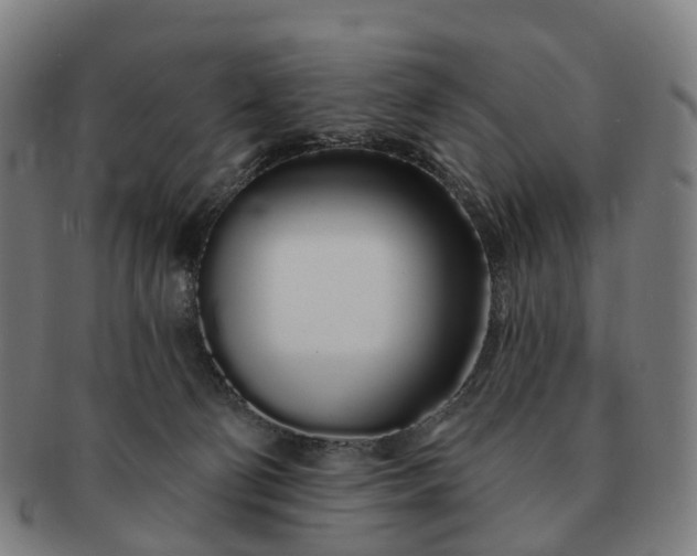 X0000091310130200708241122