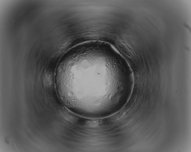 X0000091310131200708241122