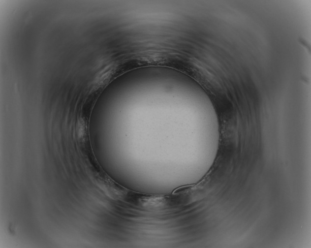 X0000091310132200708241122