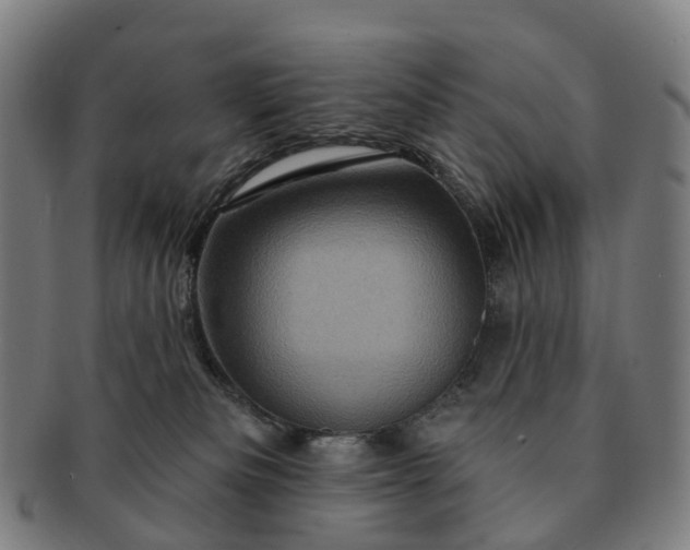 X0000091310133200708241122