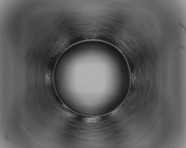 X0000091310134200708241122