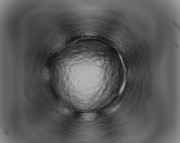 X0000091310135200708241122