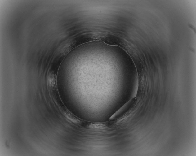 X0000091310137200708241122