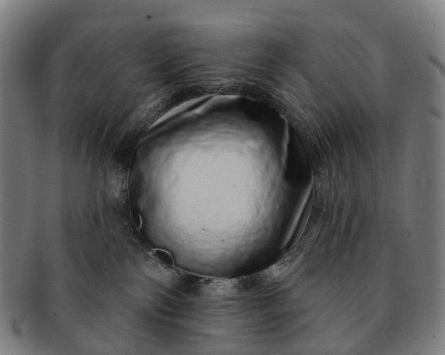 X0000091310138200708241122