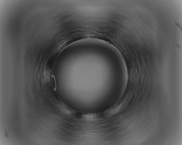 X0000091310139200708241122