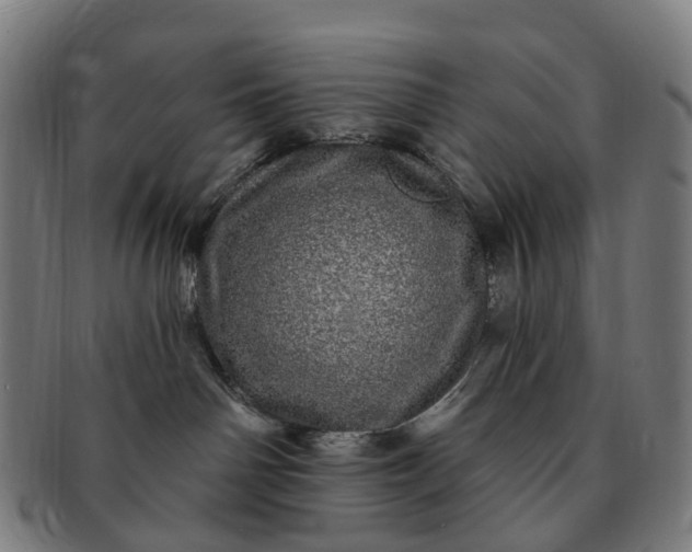 X0000091310142200708241122