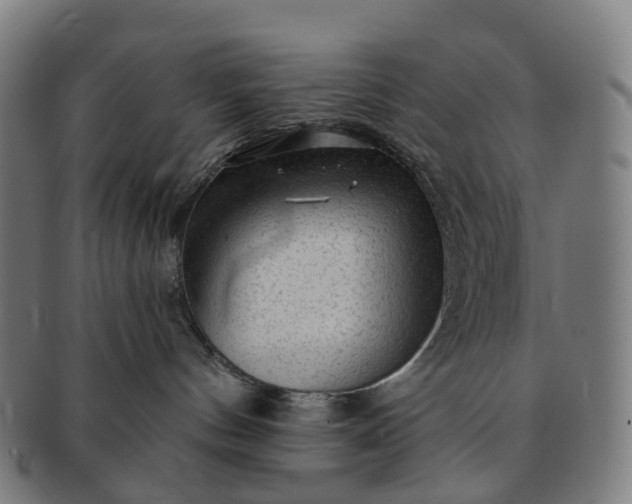 X0000091310144200708241122