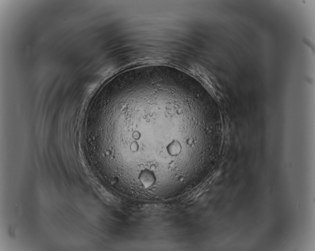 X0000091310145200708241121