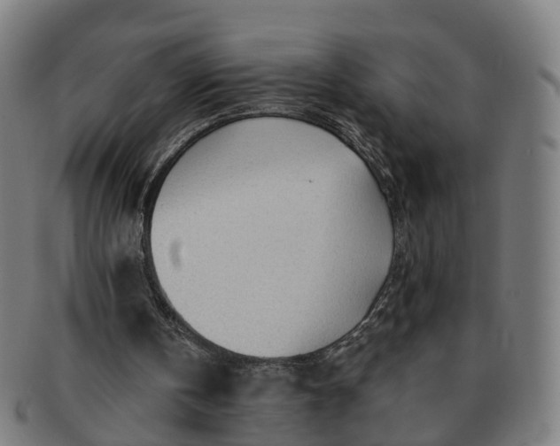 X0000091310146200708241121