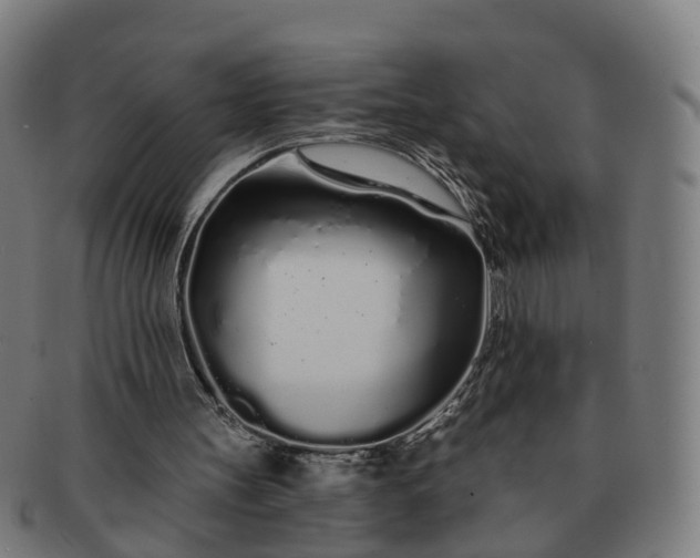 X0000091310147200708241121