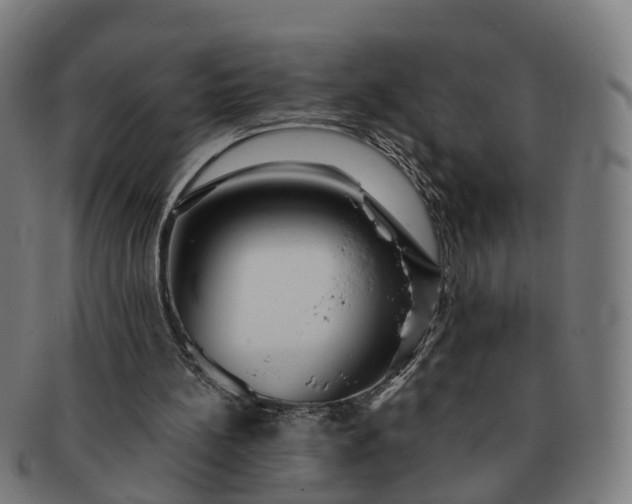 X0000091310148200708241121