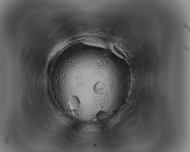 X0000091310149200708241121