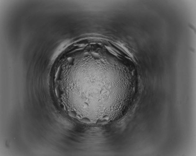 X0000091310151200708241121