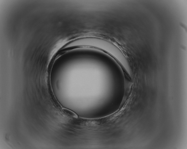 X0000091310152200708241121