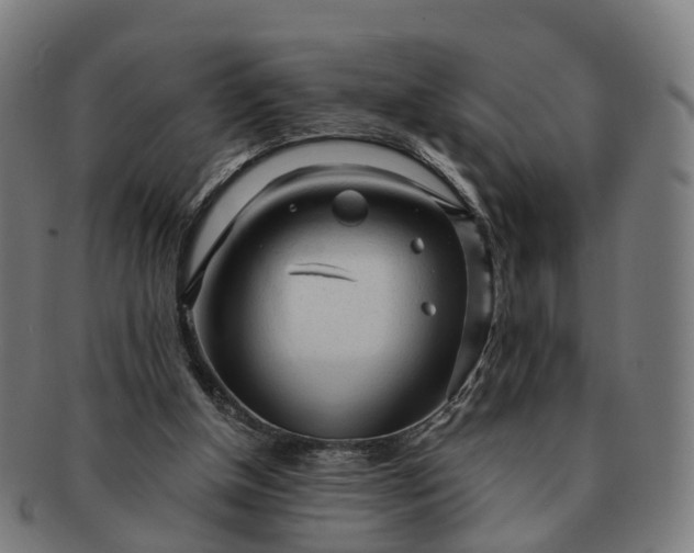 X0000091310154200708241121