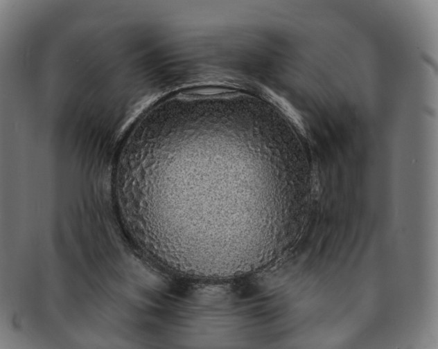 X0000091310155200708241121