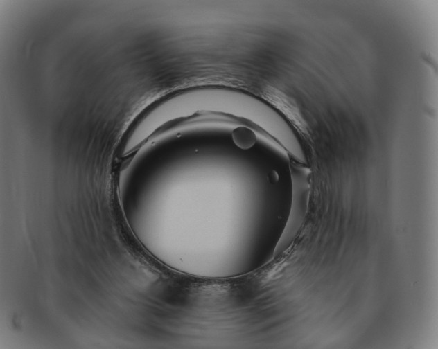 X0000091310156200708241121