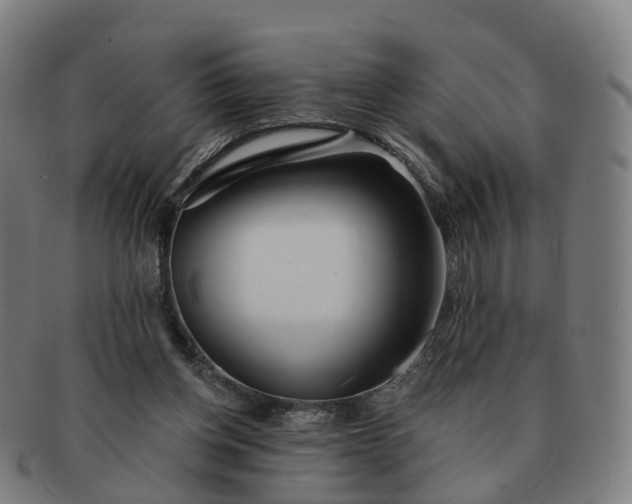 X0000091310158200708241121