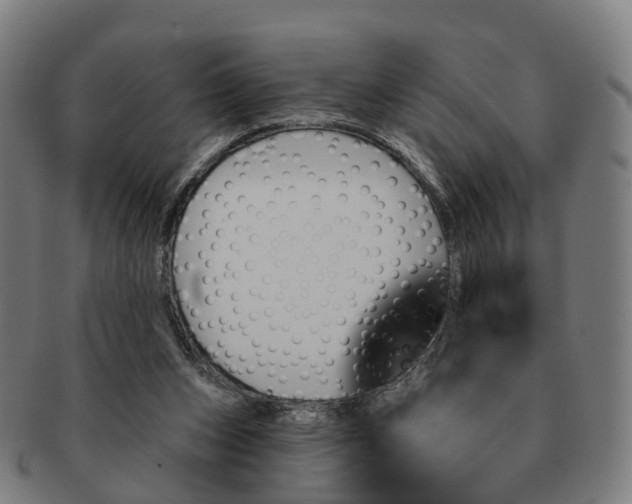 X0000091310159200708241121