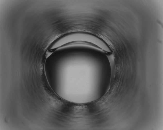 X0000091310160200708241121