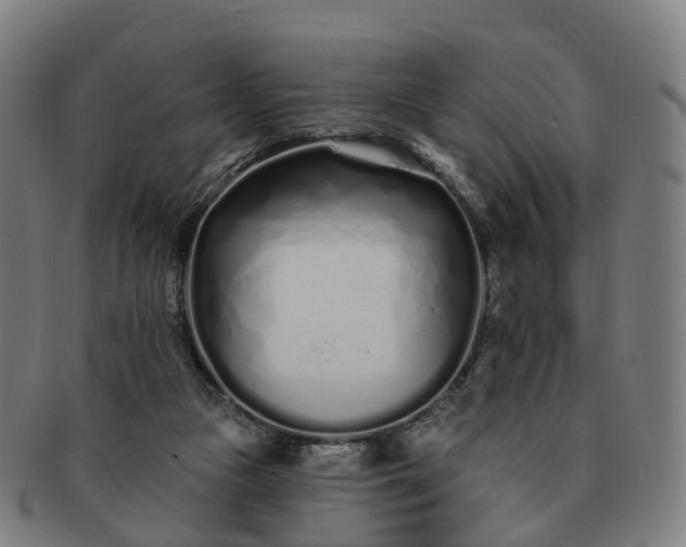 X0000091310161200708241121