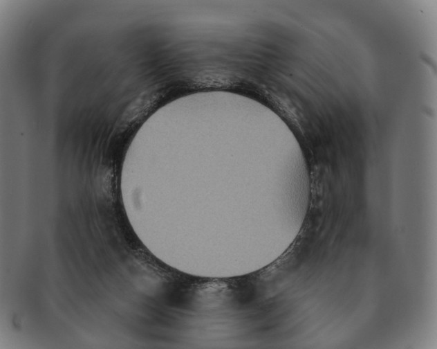 X0000091310162200708241121