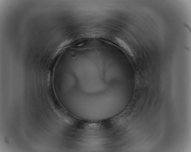 X0000091310163200708241121