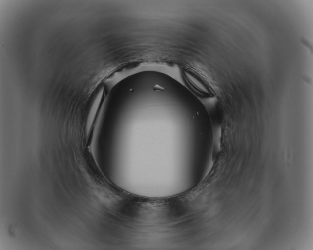 X0000091310164200708241121