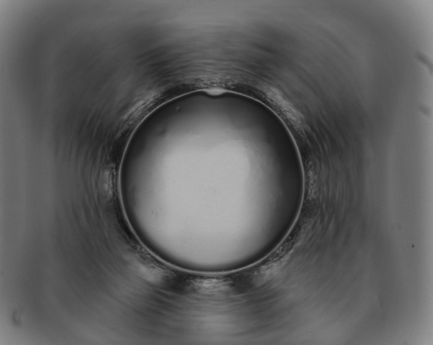 X0000091310165200708241122