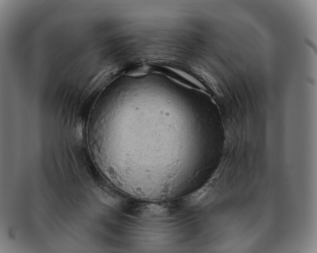 X0000091310166200708241122