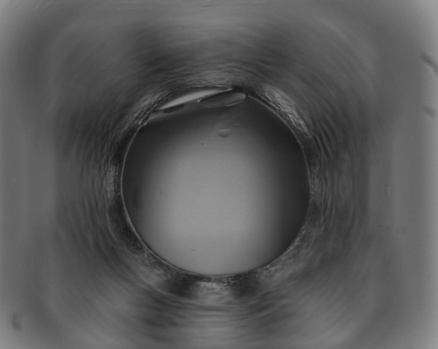 X0000091310167200708241122