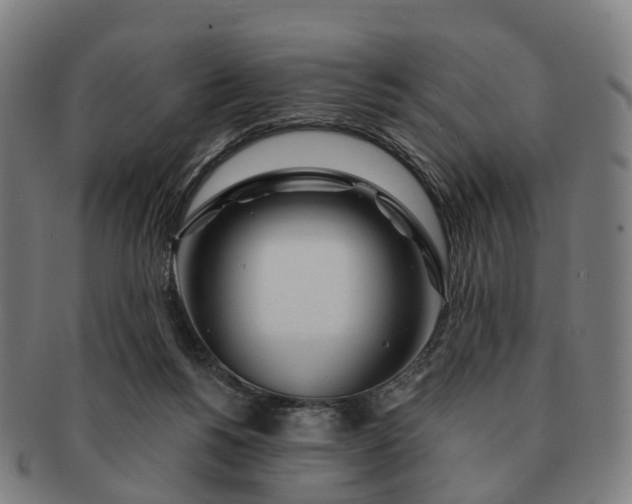 X0000091310168200708241122