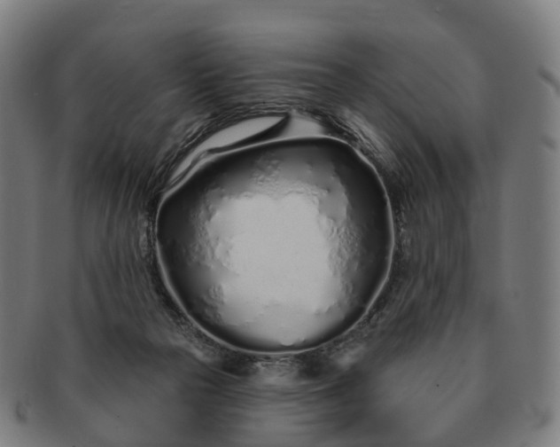 X0000091310169200708241122