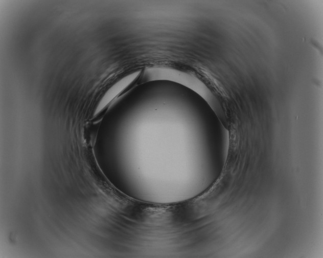 X0000091310170200708241122