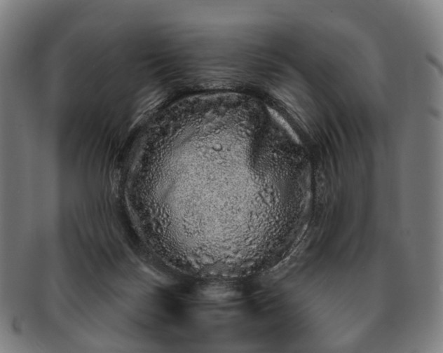 X0000091310171200708241122