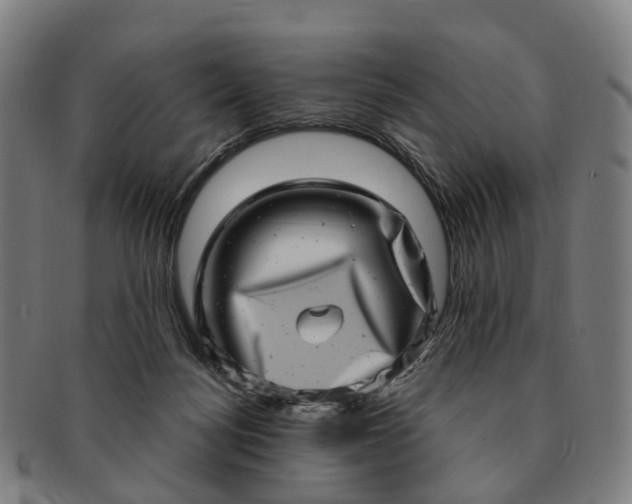 X0000091310172200708241122