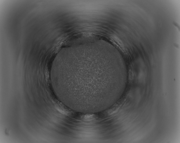 X0000091310173200708241122