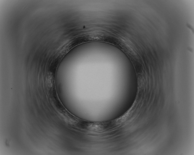 X0000091310174200708241122